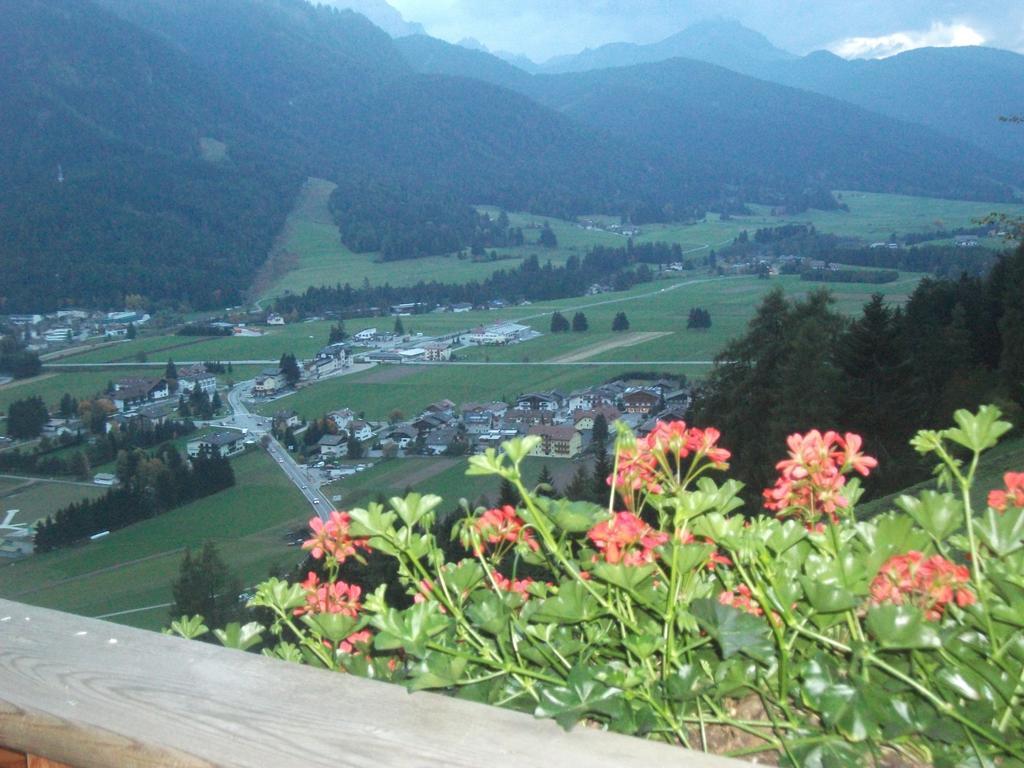 Steinerhof Leilighet Dobbiaco Rom bilde