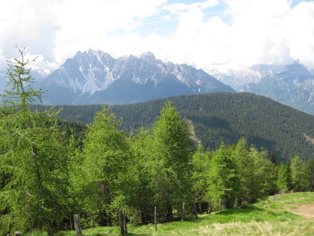 Steinerhof Leilighet Dobbiaco Rom bilde